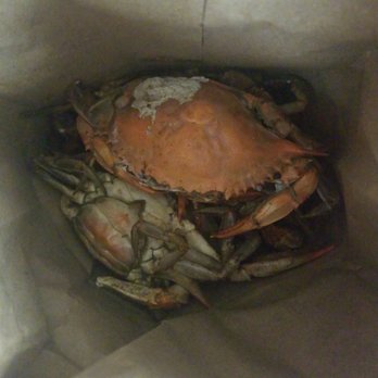 Ruff N Ready Crab House - Crabs! - Seafood Markets Near Me - Hyattsville, Maryland