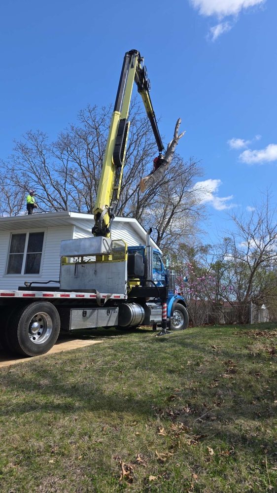 Leveled Up Tree & Crane - tree service in Chillicothe, IL