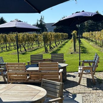 Peconic Bay Vineyards - Vineyards and fire pit - Wineries Near Me - Cutchogue, New York