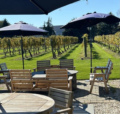 Peconic Bay Vineyards by Krissie Wines by null