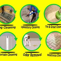 Carpet Refresh - Our Professional Services