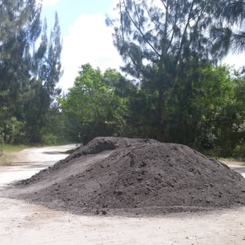 Markham Park - Random dirt mound in between trails - Parks Near Me - Sunrise, Florida Markham Park - Random dirt mound in between trails - Parks Near Me - Sunrise, Florida