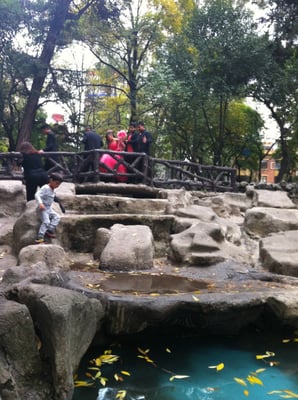 Parque México by null