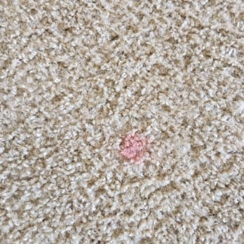 Prosteam Services - Red stain removel - Carpet Cleaning Near Me