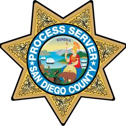 Escondido Service of Process - Logo