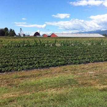 Hopcott Premium Meats - Hopcott strawberries - Meat Shops Near Me - Pitt Meadows, British Columbia Hopcott Premium Meats - Hopcott strawberries - Meat Shops Near Me - Pitt Meadows, British Columbia