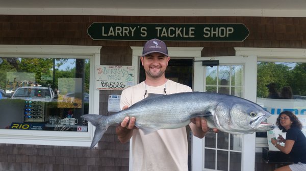 larry's tackle shop