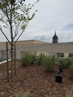 Salt Lake City Public Library by null