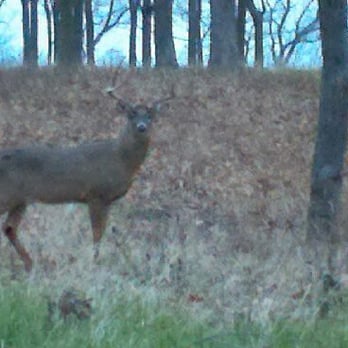 Fort Sheridan Forest Preserve - so close! - Parks Near Me - Lake Forest, Illinois Fort Sheridan Forest Preserve - so close! - Parks Near Me - Lake Forest, Illinois