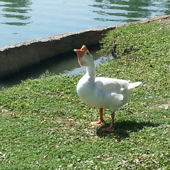 Tri-City Park - Parks Near Me - Placentia, California
