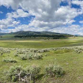 Let's Go Adventure Tours and Transportation - Bus Tours Near Me - Bozeman, Montana Let's Go Adventure Tours and Transportation - Bus Tours Near Me - Bozeman, Montana