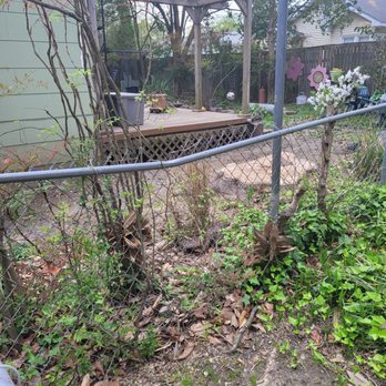 Art-Is-Tree - Tree Services Near Me - Virginia Beach, Virginia