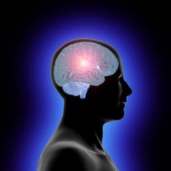 Craig Eymann, DC Aloha Sports Chiropractic - Your brain on Chiropractic.