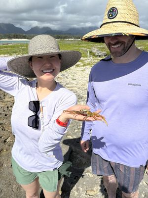 Kailua Beach Adventures by null