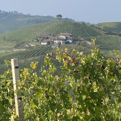 Mr & Mrs Italy - Piedmont Region