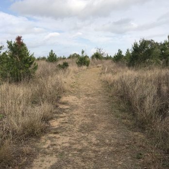 Ferndale Preserve - Hiking Near Me - Clermont, Florida Ferndale Preserve - Hiking Near Me - Clermont, Florida