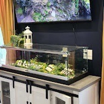 All Souls Grotto - a fish tank with a waterfall on it - Vitamins & Supplements Near Me - Asheville, North Carolina All Souls Grotto - a fish tank with a waterfall on it - Vitamins & Supplements Near Me - Asheville, North Carolina