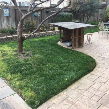 Tyler Stringer's HandyMan Services - After. Mowed and edged - Handyman Near Me