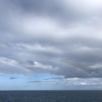 Ocean Joy Cruises - Tours Near Me - Kapolei, Hawaii Ocean Joy Cruises - Tours Near Me - Kapolei, Hawaii