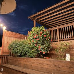 Deck, bench, pergola, and staining project Deck, bench, pergola, and staining project