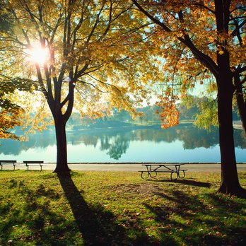 North Valley Tree Service - Tree Services Near Me - Chico, California North Valley Tree Service - Tree Services Near Me - Chico, California