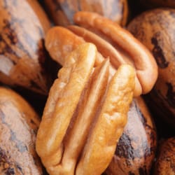 Ison's Nursery & Vineyard - We offer Pecan Trees, Alond Trees, Walnut Trees and more.