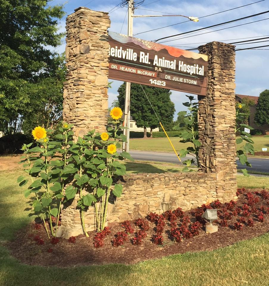 REIDVILLE ROAD ANIMAL HOSPITAL Updated September 2024 1423 John B