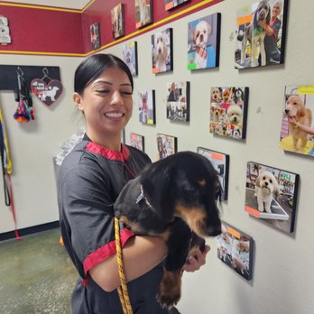 Bia’s Pet Stop - Friendly Staff - Pet Groomers Near Me - Litchfield Park, Arizona Bia’s Pet Stop - Friendly Staff - Pet Groomers Near Me - Litchfield Park, Arizona