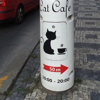 Cat Café Social Point - Cute sign that hooked me in! - Cafes Near Me - Prague, Puerto Rico