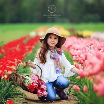 Anna Postorino Photography - Tulip Farm child photo session - Session Photography Near Me - Tinton Falls, New Jersey Anna Postorino Photography - Tulip Farm child photo session - Session Photography Near Me - Tinton Falls, New Jersey