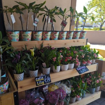 Trader Joe's - Grocery Near Me - Novato, California