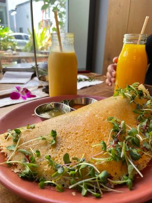 Ojo de Agua Brickell by null