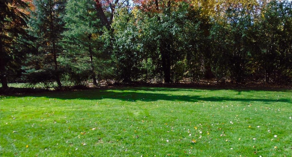 Natural Choice Lawn & Tree Care - tree service in Newington, CT