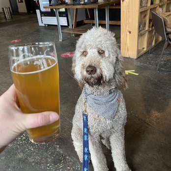 12 Bones Brewing - Breweries Near Me - Arden, North Carolina