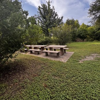 Bartholomew District Park - Parks Near Me - Austin, Texas