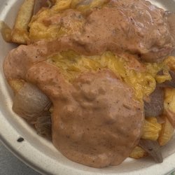 Next Level Clucker - Special fries.. more like sloppy fries lol