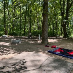 Fort Custer State Recreation Area - Campsite 159  (electric)