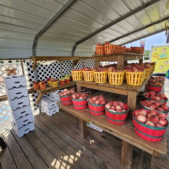 Georgia Peach World - William Lewis of Vero Beach, Florida, making a quick pitstop at Georgia Peach World. - Specialty Food Near Me - Townsend, Georgia