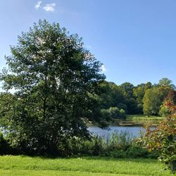 Puppen- & Spielzeugmuseum - Ausblick auf den Schwanenteich / View on the swan pond
