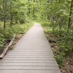 Hawk Rise Sanctuary