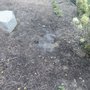 Troy Clogg Landscape Associates