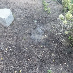 Troy Clogg Landscape Associates - Drainage