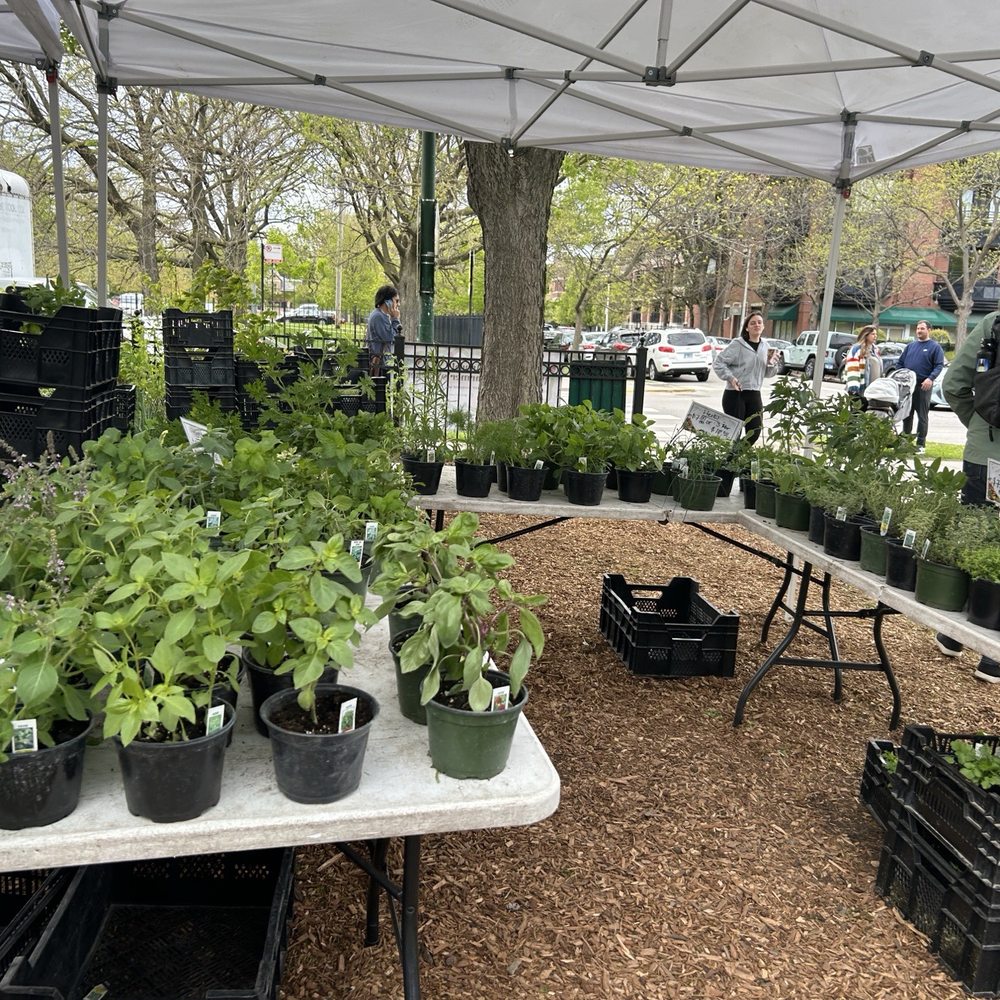 Wicker Park - Farmers Market Near Me - Chicago, Illinois Wicker Park - Farmers Market Near Me - Chicago, Illinois