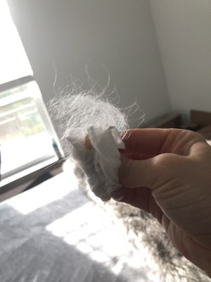 The Baxter Decatur Apartments by null