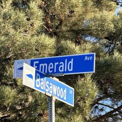 City of Moreno Valley - 1/10/25 Visiting family who is recuperating from surgery