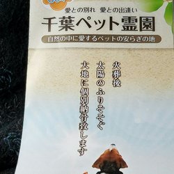 pet crematoriums near me