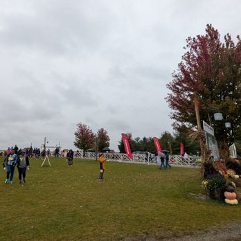 Richardson Farms - Christmas Trees Near Me - Spring Grove, Illinois