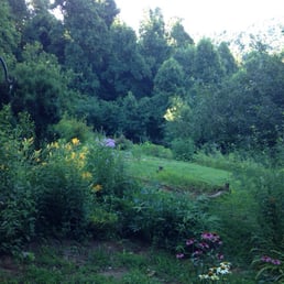 Beautiful setting!!! Beautiful setting!!!