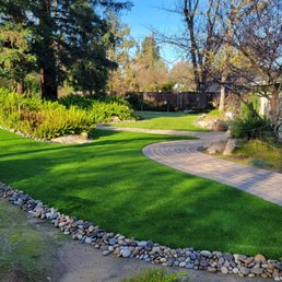 The whole front yard