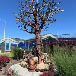 Boise WaterShed - Beautiful art